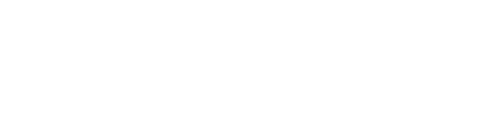BettaFish